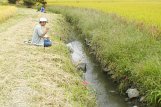 TANAGO fishing fild in farm