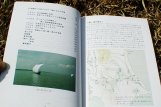 新・霞ヶ浦の魚たち